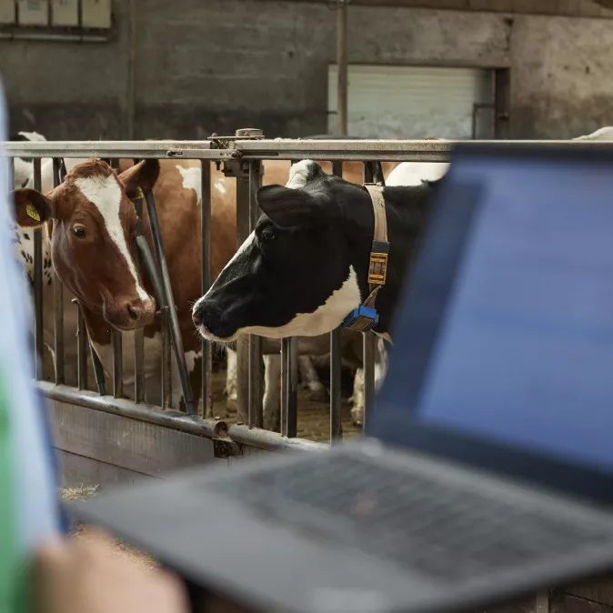 Engineero JN3992 copy min