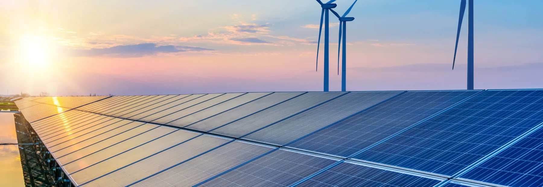 shutterstock 1072416734 min